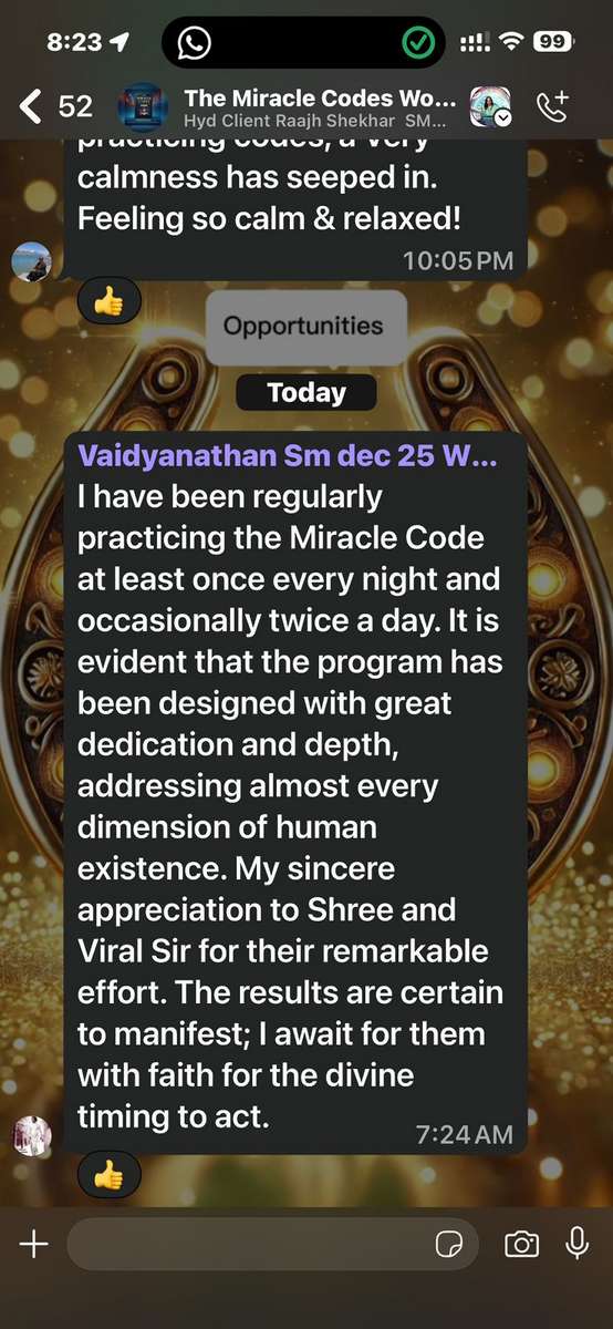 WhatsApp Testimonial 4
