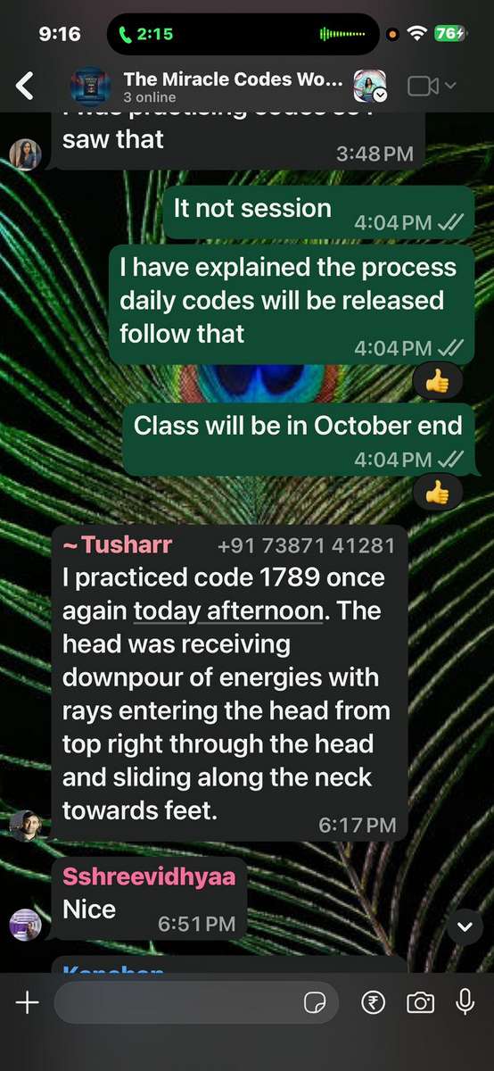 WhatsApp Testimonial 10